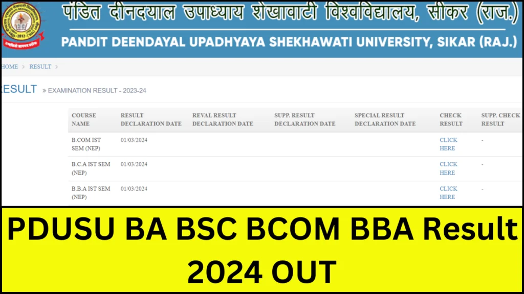 PDUSU BA BSC Result