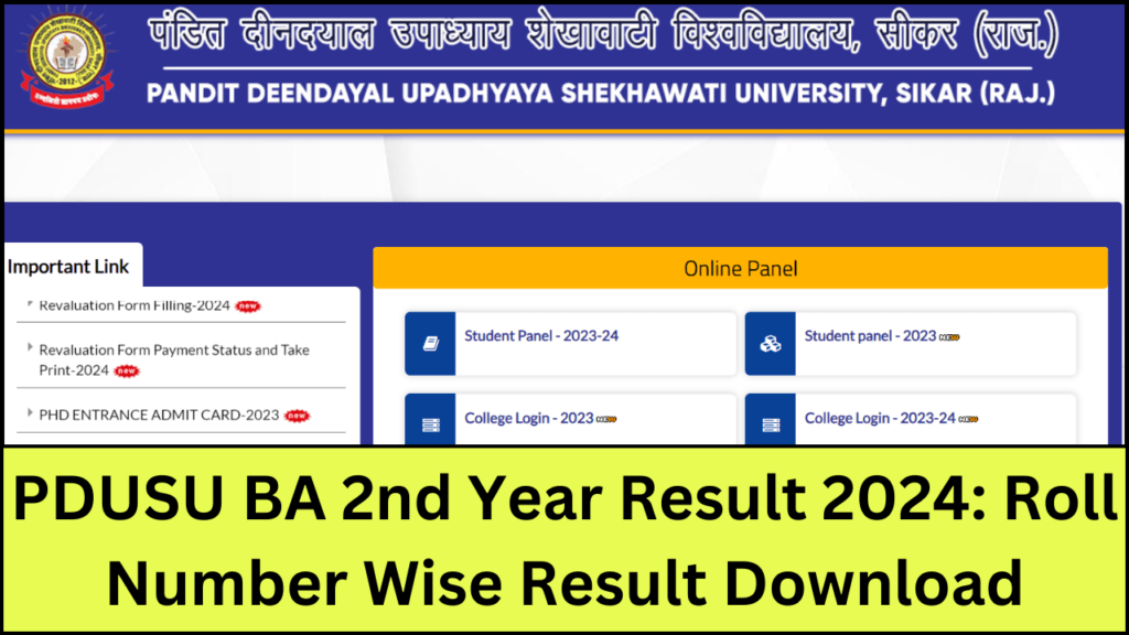 PDUSU BA 2nd Year Result 2024